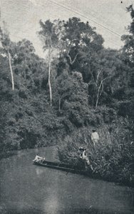 Rio de S. Anastacio, 1895