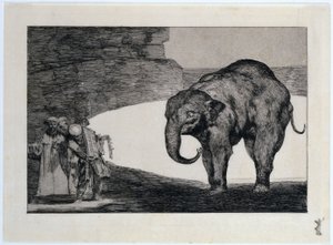 Disparate de bestia, auch: Proverbio adicional: Otras leyes por el pueblo von Francisco Jose de Goya y Lucientes