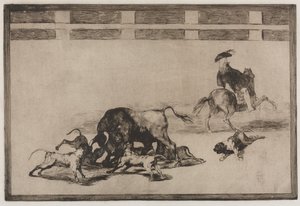 Stierkämpfe: Sie lassen Hunde auf den Stier los, 1876