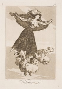 Sie sind weggeflogen von Francisco de Goya