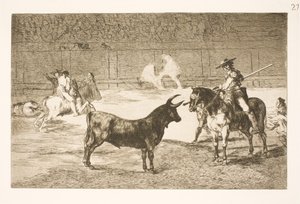 Der gefeierte Picador, Fernando del Toro, provoziert den wütenden Stier mit seiner Lanze