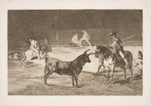 Der gefeierte Picador, Fernando del Toro, provoziert den wütenden Stier mit seiner Lanze