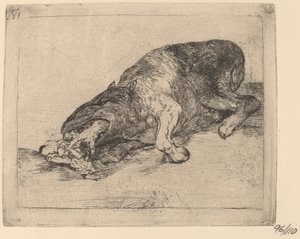 Fiero monstruo! (Wildes Monster!) von Francisco de Goya