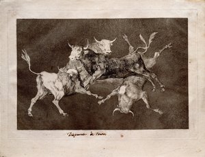 Narrentollheit aus der Serie Los Disparates Follies, 1815-1819 von Francisco de Goya