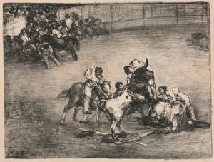 Die Stiere von Bordeaux: Picador von einem Stier gefangen