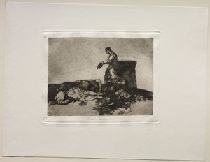 Die Schrecken des Krieges: Grausame Geschichte des Elends