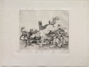 Die Schrecken des Krieges: Er verteidigt sich gut von Francisco de Goya