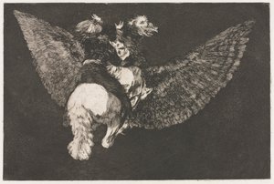 Die Sprichwörter: Fliegender Wahnsinn von Francisco de Goya