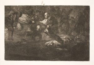 Der Herr erschafft sie, und sie enden in schöner Vereinigung / Vögel mit gleichen Federn fliegen zusammen von Francisco de Goya