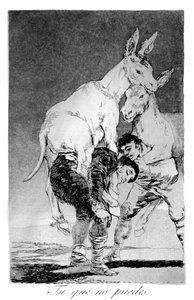 Ihr, die ihr nicht könnt, 1799 von Francisco de Goya