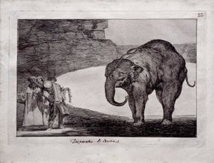 Tierische Torheit von Francisco de Goya