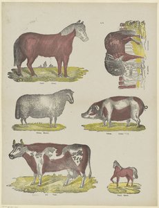Tiere