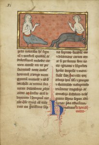 Eine Sirene und ein Zentaur aus einem Bestiarium Ms Ludwig XV 4, fol. 81v, ca. 1280-1300 von Franco Flemish School