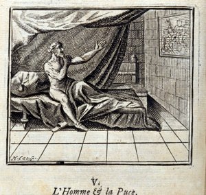 Der Mann und der Floh. Fabeln von Jean de La Fontaine. Illustration von François Chauveau. Ausgabe von 1728.