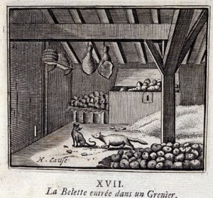 Das Wiesel betritt einen Speicher. Fabeln von Jean de La Fontaine. Illustration von François Chauveau. Ausgabe von 1728.
