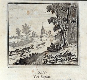 Kaninchen. Fabeln von Jean de La Fontaine. Illustration von François Chauveau. Ausgabe von 1728.