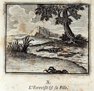 Der Krebs und seine Tochter. Fabeln von Jean de La Fontaine (1621-95). Illustration von François Chauveau (1613-1676). Ausgabe von 1728.