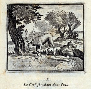 Der Hirsch, der sich im Wasser sieht. Fabeln von Jean de La Fontaine (1621-95). Illustration von François Chauveau (1613-1676). Ausgabe von 1728.