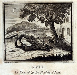 Der Fuchs und die Hühner von Indien. Fabeln von Jean de La Fontaine. Illustration von François Chauveau. Ausgabe von 1728.