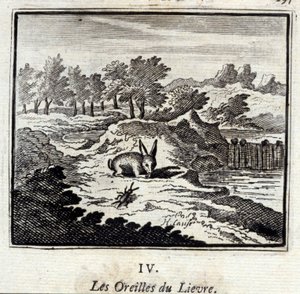 Die Ohren des Hasen. Fabeln von Jean de La Fontaine. Illustration von François Chauveau. Ausgabe von 1728.