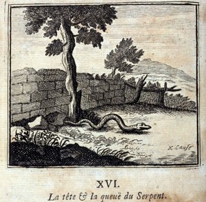Der Kopf und der Schwanz der Schlange. Fabeln von Jean de La Fontaine (1621-95). Illustration von François Chauveau (1613-1676). Ausgabe von 1728