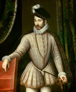 Ganzkörperporträt von Karl IX. (Detail)