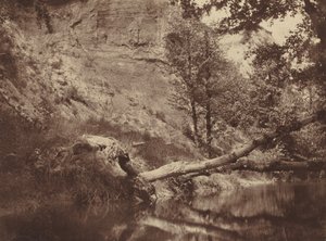 Flussufer, ca. 1855 (Foto) von Frank Chauvassaigne