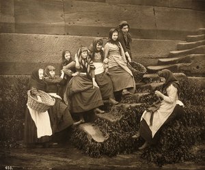 Frauen warten auf den Fang des Tages, Whitby Harbour, North Yorkshire, ca. 1899 von Frank Meadow Sutcliffe
