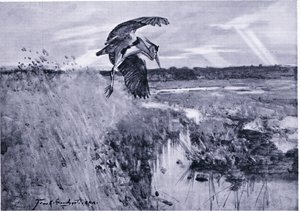 Jack Harnser-Heron von Frank Southgate