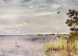 Norfolk Broads: Horsey Mere von Frank Southgate