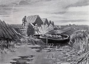 Norfolk Broads: Schilf stapeln