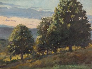 Landschaft