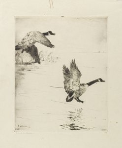 Gänse landen von Frank Weston Benson