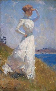 Sonnenlicht