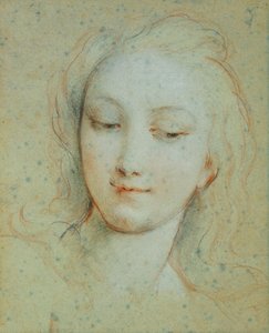 Der Kopf der Venus