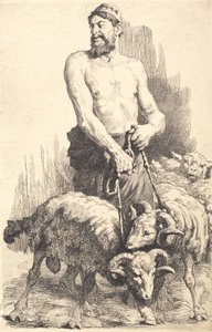 Der Hirte mit den Widdern