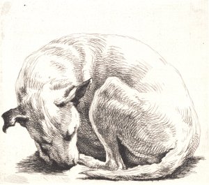 Probeplatte: Ein Hund von Frans Schwartz