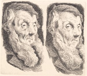 Probeplatte eines alten bärtigen Mannes, zweimal nach rechts gewandt