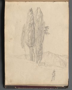Album mit Ansichten von Rom und Umgebung, Landschaftsstudien, Seite 20a: Bäume