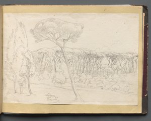 Album mit Ansichten von Rom und Umgebung, Landschaftsstudien, Seite 46a: Frascati