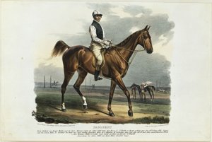 Dagobert von Franz Krüger