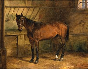Pferd im Stall von Franz Krüger