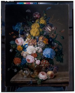 Rosen, Schwertlilien, Nelken, Tulpen und andere Blumen in einer bronzenen Urne von Franz Xavier Petter