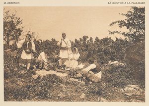 Zéménon. Das Schaf à la Pallikare