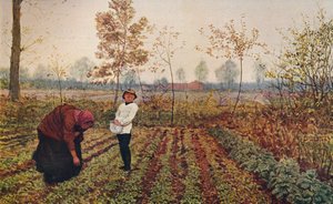 Das Veilchenfeld, 1867, ca. 1915