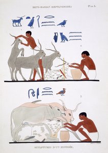Tierärztliche Arbeit, aus einem seltenen Bericht über Fresken aus Theben, aufgezeichnet 1819-1822 bei seinem zweiten Besuch in Ägypten von Frederic Cailliaud