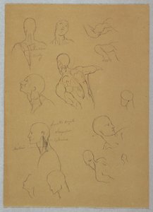 Anatomische Studien, 1865–1870