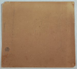 Zeichnung, Botanische Skizzen, Möglicherweise Bambus, Palmen und Büsche, Ecuador oder Kolumbien, 1853 oder 1857 von Frederic Edwin Church