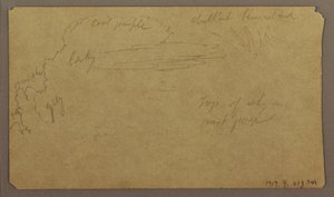Zeichnung, Botanische Skizzen; Rückseite: Wolken, Juli 1865
