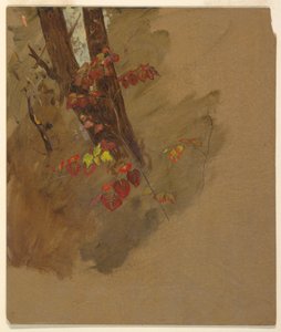 Zeichnung, Botanische Studien, 1860–70